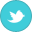 TEM @ Twitter