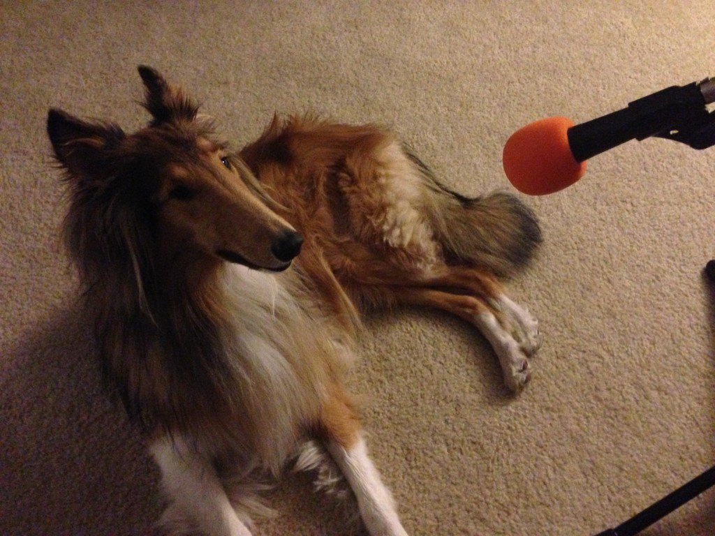 Penny, the Show Dog
