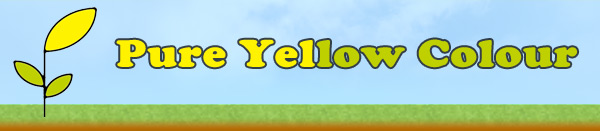 Pure Yellow Colour
